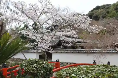 金剛寺のその他建物