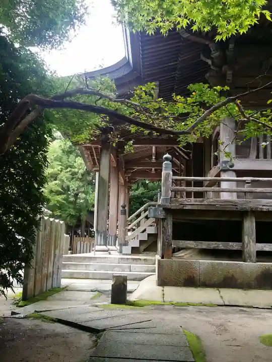 千光寺の本殿・本堂