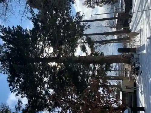 大宮神社(岩手県)