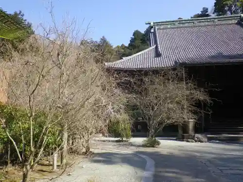 妙本寺の庭園