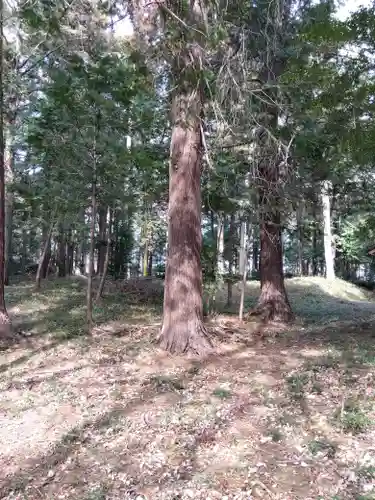 十社神社(埼玉県)