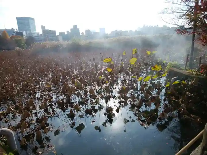 寛永寺不忍池弁天堂(東京都)