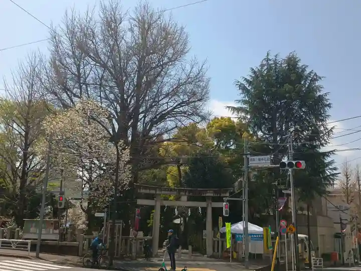 鳩森八幡神社の鳥居