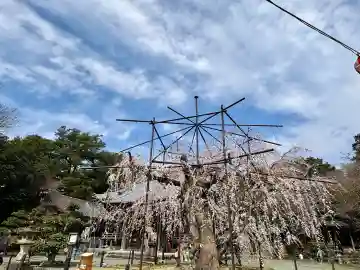 八幡社の{uncategorized: "未分類", other: "その他", undefined: "問題あり", building: "その他建物", grave: "お墓", sacred_gate: "鳥居", guardian: "狛犬", statue: "像", buddha: "仏像", history: "歴史", nature: "自然", garden: "庭園", animal: "動物", pagoda: "塔", temizu: "手水舎", mountain_gate: "山門・神門", sanctuary: "本殿・本堂", subordinate: "末社・摂社", art: "芸術", scenery: "景色", jizo: "地蔵", ema: "絵馬", goshuin: "御朱印", omikuji: "おみくじ", items: "授与品その他", amulet: "お守り", goshuincho: "御朱印帳", eats: "食事", festival: "お祭り", votive_dance: "神楽", shichigosan: "七五三参", wedding: "結婚式", experience: "体験その他", initially: "初詣", around: "周辺", anti_infection: "感染症対策"}