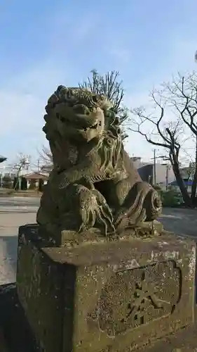 谷原氷川神社の狛犬