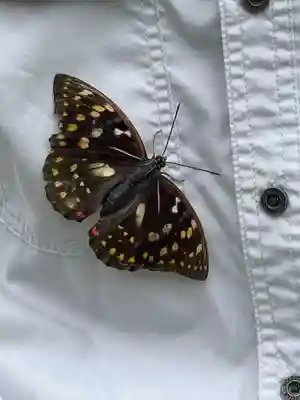 国宝 大法寺(長野県)