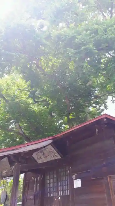 延寿寺観音堂の本殿・本堂