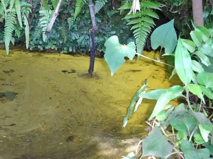 白笹稲荷神社の自然