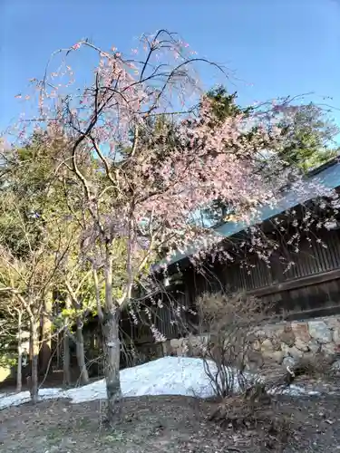 札幌護國神社の自然