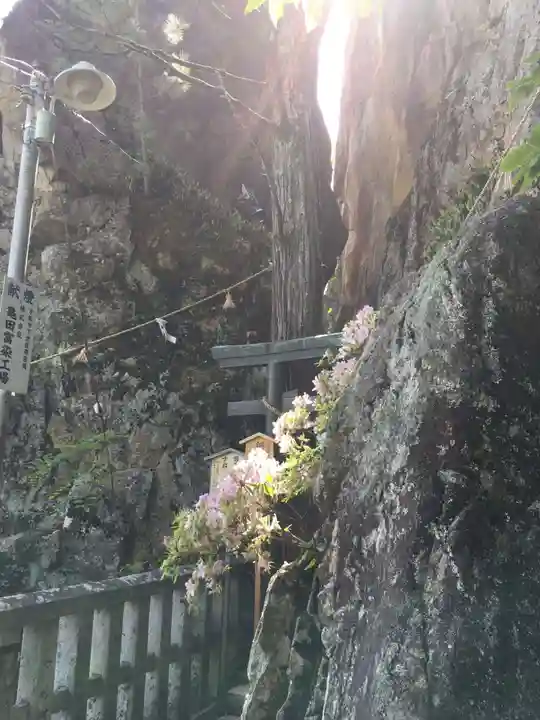 阿賀神社の自然