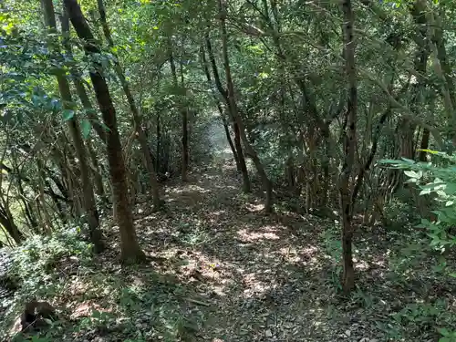 農神社(徳島県)