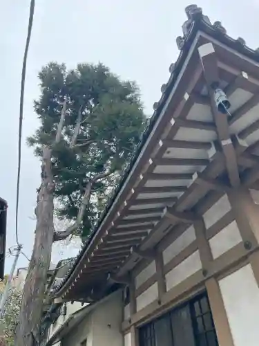 東光寺別院桜ヶ池不動院の{uncategorized: "未分類", other: "その他", undefined: "問題あり", building: "その他建物", grave: "お墓", sacred_gate: "鳥居", guardian: "狛犬", statue: "像", buddha: "仏像", history: "歴史", nature: "自然", garden: "庭園", animal: "動物", pagoda: "塔", temizu: "手水舎", mountain_gate: "山門・神門", sanctuary: "本殿・本堂", subordinate: "末社・摂社", art: "芸術", scenery: "景色", jizo: "地蔵", ema: "絵馬", goshuin: "御朱印", omikuji: "おみくじ", items: "授与品その他", amulet: "お守り", goshuincho: "御朱印帳", eats: "食事", festival: "お祭り", votive_dance: "神楽", shichigosan: "七五三参", wedding: "結婚式", experience: "体験その他", initially: "初詣", around: "周辺", anti_infection: "感染症対策"}