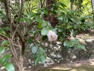 平岡八幡宮(京都府)