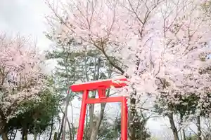 尾張猿田彦神社の鳥居(2020年05月31日(日) 11時06分56秒投稿)