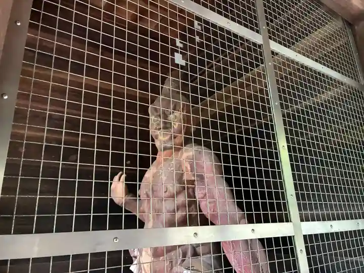 切幡寺(徳島県)