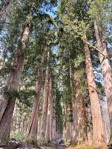 戸隠神社奥社の周辺