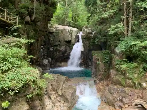 竜神神社の自然