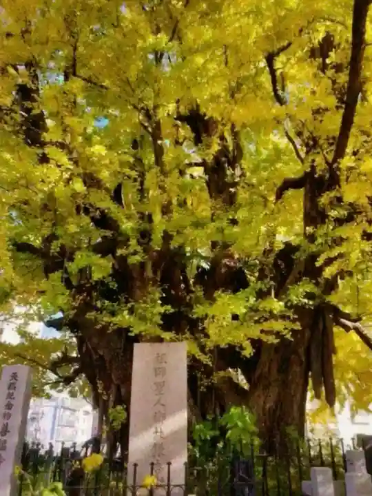 善福寺(東京都)