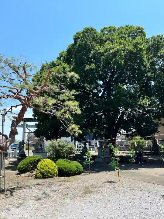 島田八坂神社の庭園