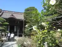 大巧寺の本殿・本堂