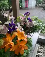 滑川神社 - 仕事と子どもの守り神(福島県)