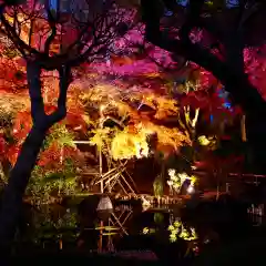 長谷寺(神奈川県)