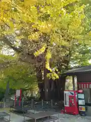 山寺日枝神社(山形県)