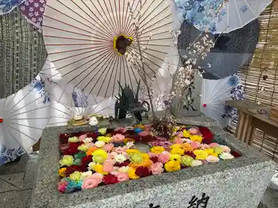 札幌諏訪神社の手水舎