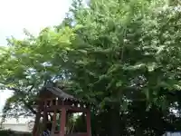 隣江寺のその他建物