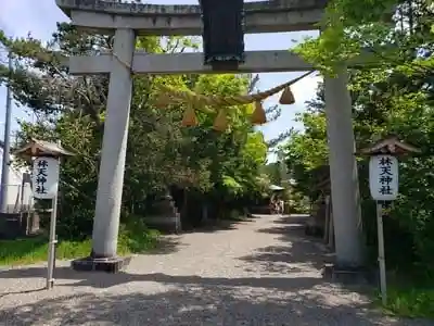 林天神社の鳥居