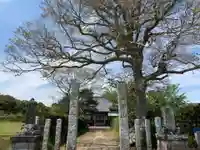蟹連寺の山門・神門