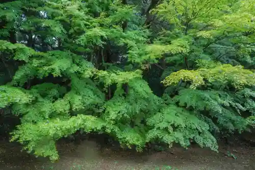 南原寺(山口県)