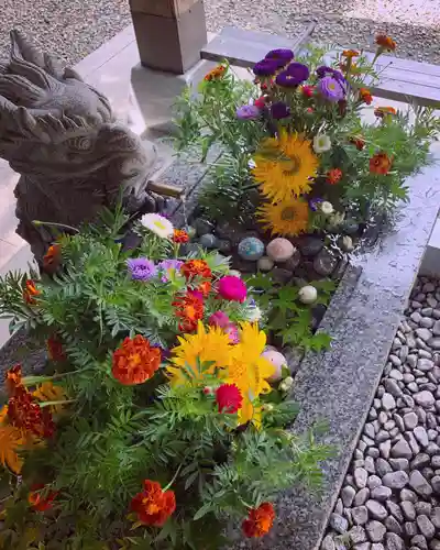 滑川神社 - 仕事と子どもの守り神の手水