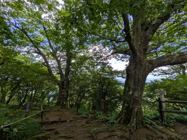 筑波山神社 女体山御本殿(茨城県)