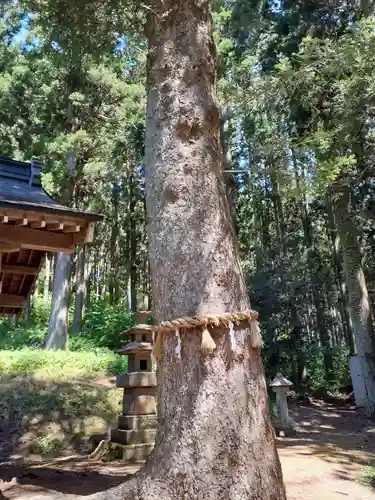 儛草神社(岩手県)