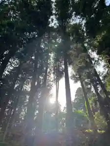 大宮温泉神社(栃木県)(2023年06月13日(火) 11時11分13秒投稿)