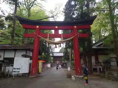 伊佐須美神社(福島県)