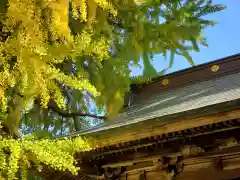 今宮神社の建物その他