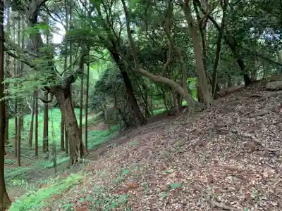 箱根神社(千葉県)