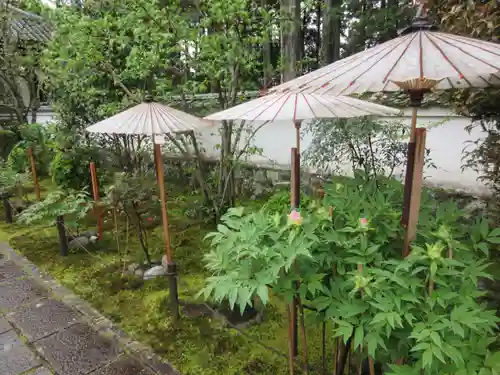 國分寺(高知県)