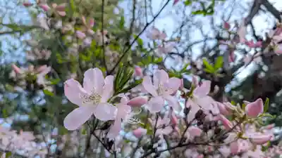 永山神社(北海道)