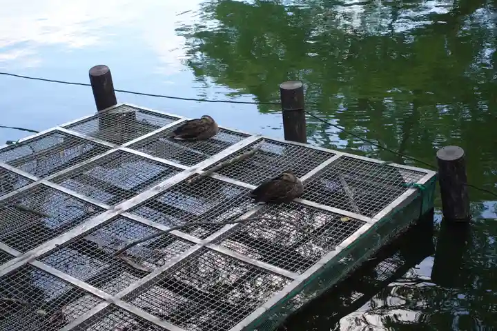 洗足池弁財天(東京都)