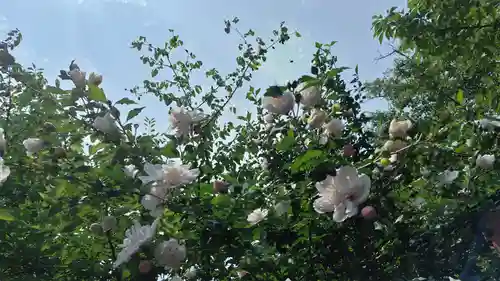 平野神社(京都府)