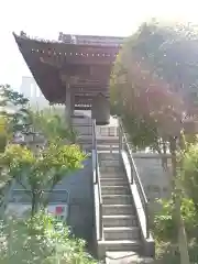 観音寺の建物その他