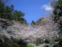 光雲神社の自然