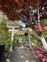 横浜御嶽神社の{uncategorized: "未分類", other: "その他", undefined: "問題あり", building: "その他建物", grave: "お墓", sacred_gate: "鳥居", guardian: "狛犬", statue: "像", buddha: "仏像", history: "歴史", nature: "自然", garden: "庭園", animal: "動物", pagoda: "塔", temizu: "手水舎", mountain_gate: "山門・神門", sanctuary: "本殿・本堂", subordinate: "末社・摂社", art: "芸術", scenery: "景色", jizo: "地蔵", ema: "絵馬", goshuin: "御朱印", omikuji: "おみくじ", items: "授与品その他", amulet: "お守り", goshuincho: "御朱印帳", eats: "食事", festival: "お祭り", votive_dance: "神楽", shichigosan: "七五三参", wedding: "結婚式", experience: "体験その他", initially: "初詣", around: "周辺", anti_infection: "感染症対策"}