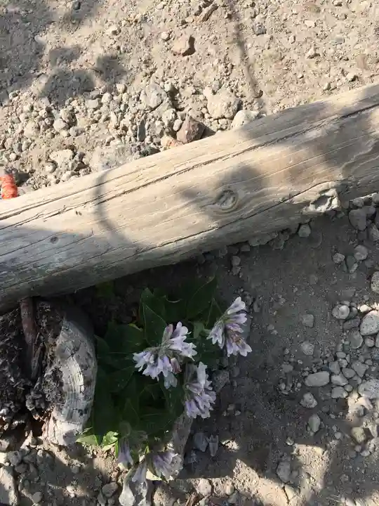 樽前山奥宮のその他建物