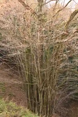 正法寺(滋賀県)