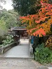 宇治上神社(京都府)