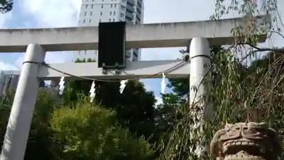 乃木神社の鳥居